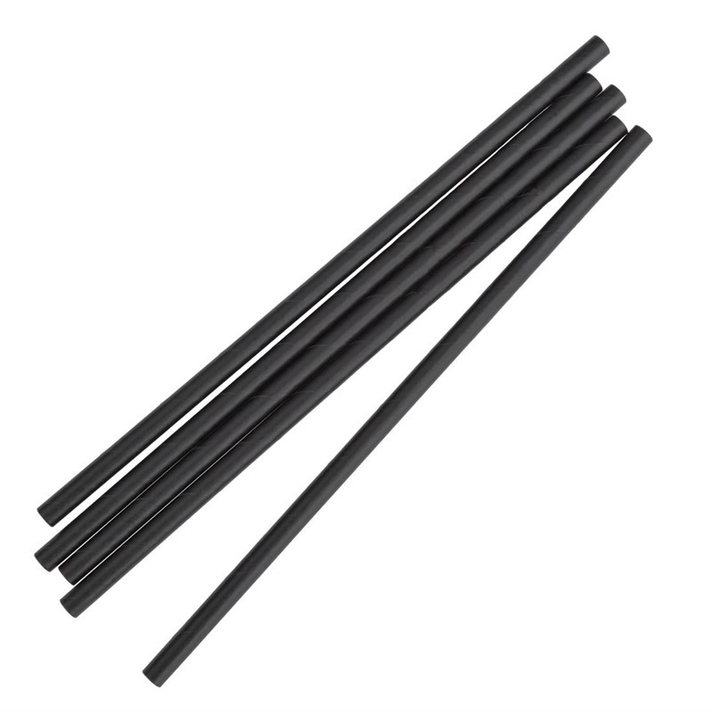 Pailles compostables en papier emball&eacute;es individuellement Fiesta Compostable noires (lot de 250)