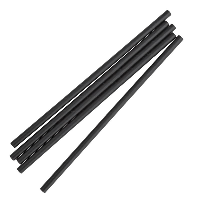 Pailles compostables en papier emball&eacute;es individuellement Fiesta Compostable noires (lot de 250)