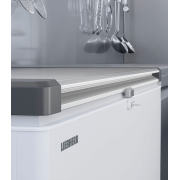 Cong&eacute;lateur coffre peu &eacute;nergivore - EFL 3056-20 - Liebherr