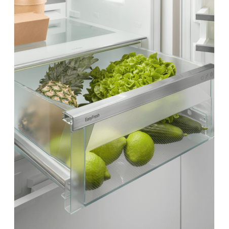 Combin&eacute; SmartSteel Encastr&eacute; - SICNdi 5153-22 - Prime