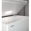 Cong&eacute;lateur coffre grande capacit&eacute; - CFe 2500-26 - Liebherr