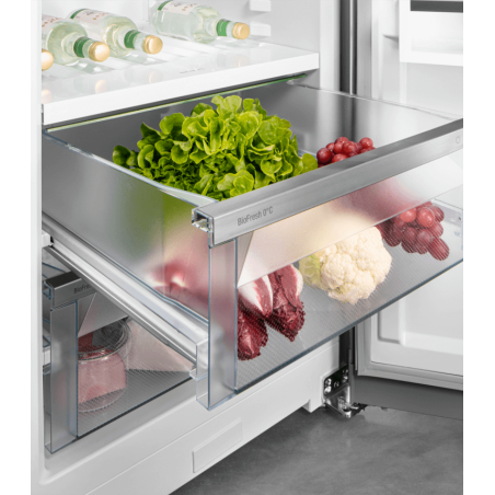 R&eacute;frig&eacute;rateur Pose Libre avec &Eacute;cran Tactile Monochrome et BioFresh - RBsfc 5220-22 - Liebherr