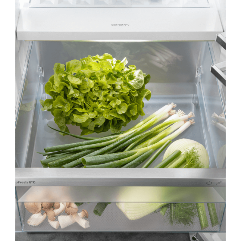 R&eacute;frig&eacute;rateur mod&egrave;le armoire Premium - RBbsb 525i-22 - Pose Libre