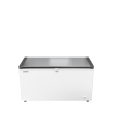 Cong&eacute;lateur Coffre Peu &Eacute;nergivore - EFL 4656-20 - Liebherr