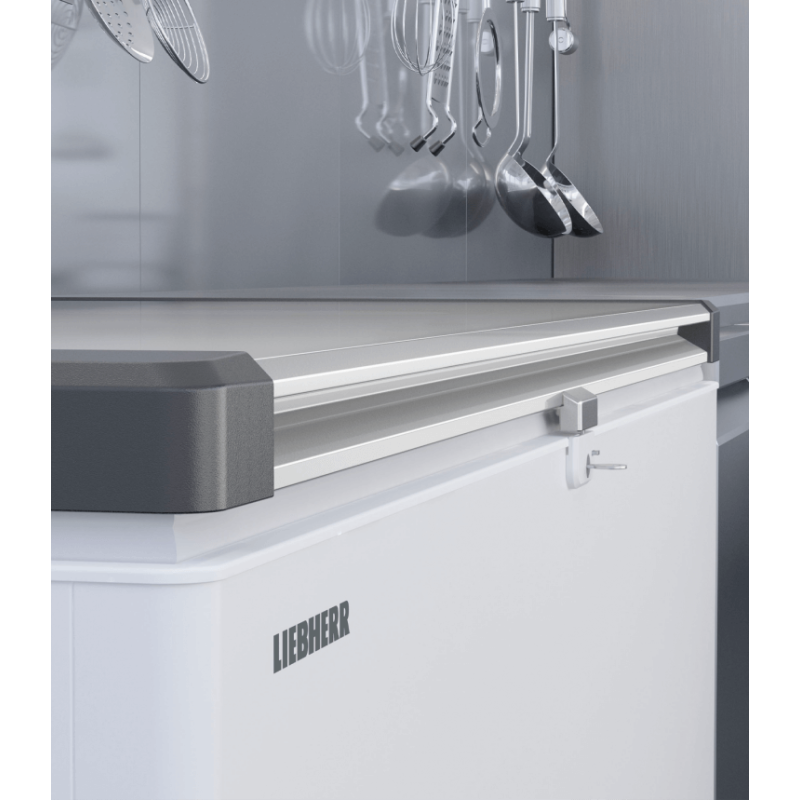 Cong&eacute;lateur Coffre Peu &Eacute;nergivore - EFL 4656-20 - Liebherr