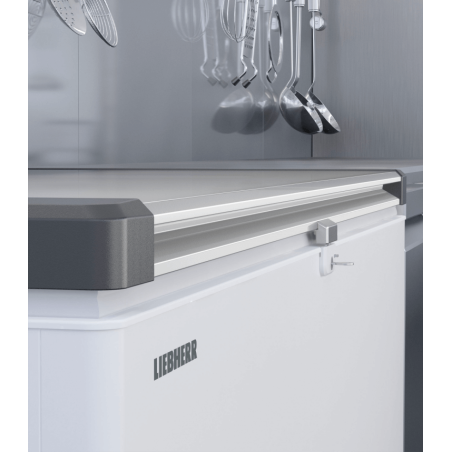 Cong&eacute;lateur Coffre Peu &Eacute;nergivore - EFL 4656-20 - Liebherr