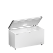 Cong&eacute;lateur Coffre Peu &Eacute;nergivore - EFL 4655-20 - Liebherr