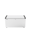 Cong&eacute;lateur Coffre Peu &Eacute;nergivore - EFL 4655-20 - Liebherr