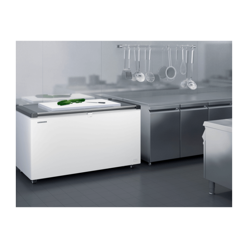 Cong&eacute;lateur Coffre peu &eacute;nergivore - EFL 6056-20 - Liebherr