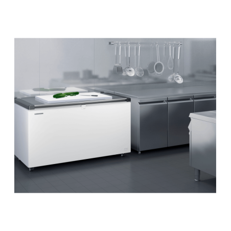 Cong&eacute;lateur Coffre peu &eacute;nergivore - EFL 6056-20 - Liebherr