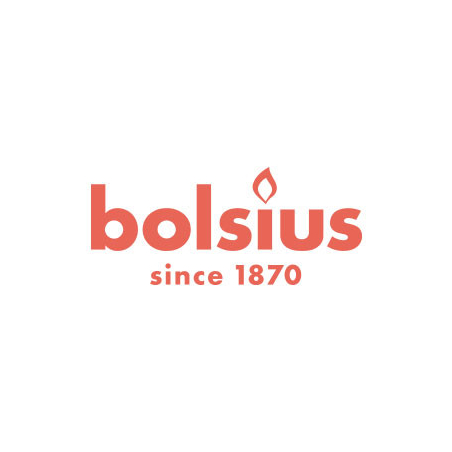 Bolsius